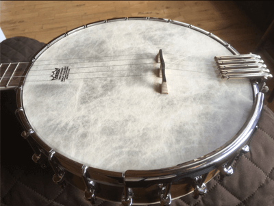 Leland Smith 5 string Oettinger on Arch Top Banjo