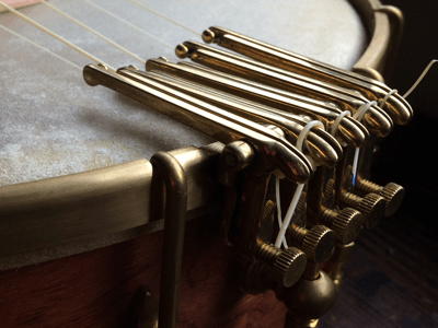 5 string Oettinger on Bubinga Banjo