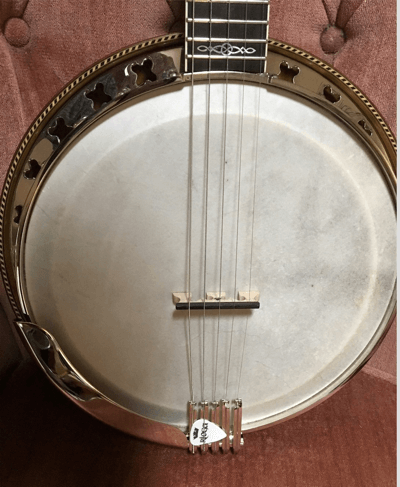 Very Fancy 5 string Oettinger on Banjo